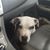 Shannon Veeder's profile image
