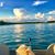 Terri Crocker Rankin's profile image