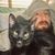 Anthony Whittecar's profile image