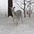 Nicole Barnett Vesel's profile image