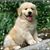 Biva Minoza Allbright's profile image