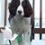 Debra Compagnone's profile image
