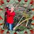 Cheryl Clevenger's profile image