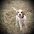 Karen Chupa-Brueggeman's profile image