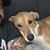 Luis Mota's profile image