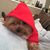 Tahtianna Friend's profile image