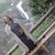 Tina Gregory's profile image
