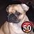Laura Karnes's profile image
