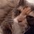 Betty Foss Schors's profile image