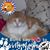 Frances Noyan's profile image