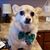 Jennifer Olson's profile image