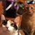 Davene Horst Mainwaring's profile image