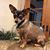 Nancy Kempe's profile image