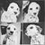Stephanie Mills's profile image