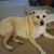 Anne Morgan's profile image