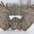 Lynda Noffsinger's profile image