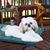 Mary E. Gaffoli's profile image