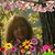 Rhonda Card Gillihan's profile image