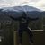 Carlos Alberto's profile image
