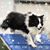 Gena Carmicle's profile image