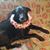 Sally L. Johnson's profile image