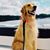 Michelle Trafton's profile image