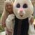 Angel Dixon's profile image