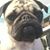 Vicky Yeager's profile image