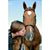 Cassie Pender's profile image
