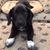 Julie Jacobs Deitering's profile image