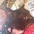 Liz Cone's profile image