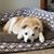 Gordon N Ro Dreager's profile image