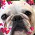 Kenn Herbert's profile image
