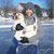 Zach Mochinski's profile image