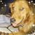 Elizabeth Hile's profile image