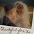Dorothy Sue Sivo's profile image