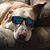 Muri Dueppen's profile image