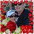 Judy Shock's profile image
