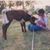 Myra Hazlett's profile image