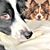 JoAnn Norvell's profile image