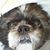 Rene LaPree's profile image