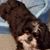Terry Hauser's profile image