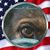 Sonya Penson's profile image