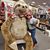 Erin Caputo's profile image