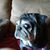 Libby Morris's profile image
