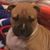 Lisa Cornett's profile image