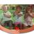 Susan Nelson's profile image
