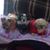 Phyllis Lund Iverson's profile image