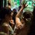 Molly Irene Tilsen's profile image