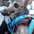Shelia Broyles's profile image